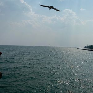 Meet your Posher, Suzanne